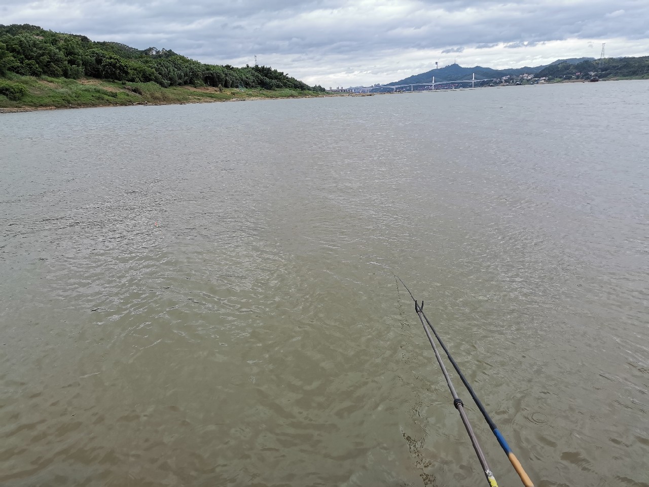 桂江野钓土鲮,广西桂江土鲮