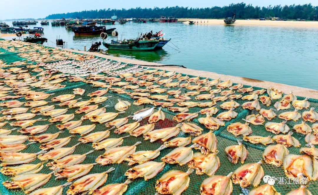湛江开渔节美食,湛江开渔节现场视频