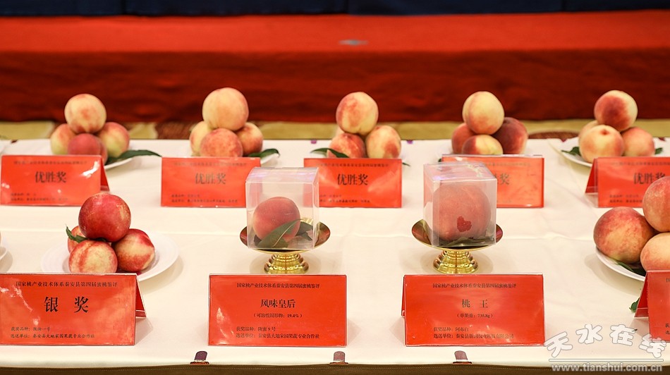 渤海期货股份公司,渤海期货业绩