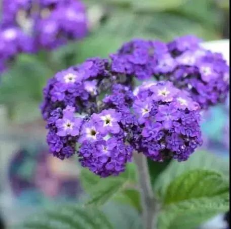 青岛海边拍照好看的酒店,青岛海景最漂亮的酒店