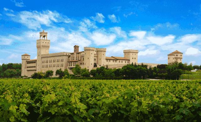 张裕瑞那城堡酒庄葡萄的酿制过程,咸阳张裕瑞那城堡酒庄体验酿酒