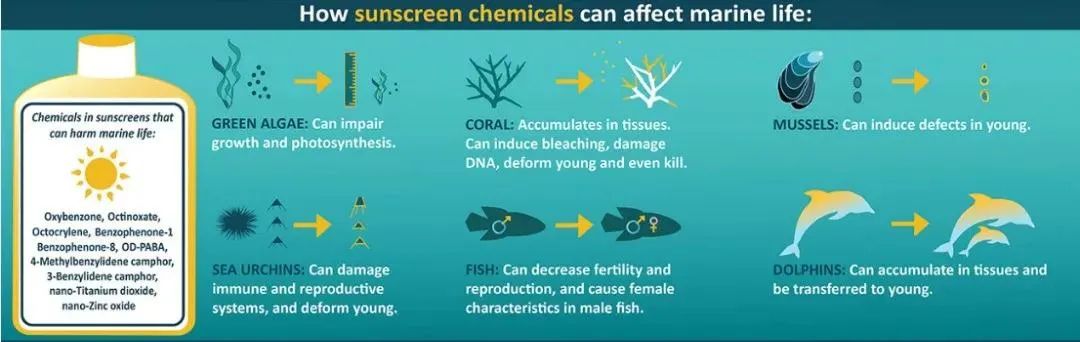 海洋护肤成分,深海植物护肤精粹