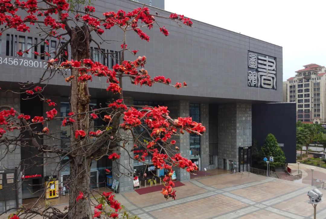 阅览室礼仪,公共场合礼仪展示视频