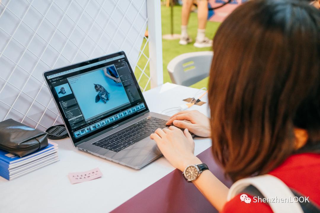 LOOK|海岸城更新·「宠物Mall」限时开放