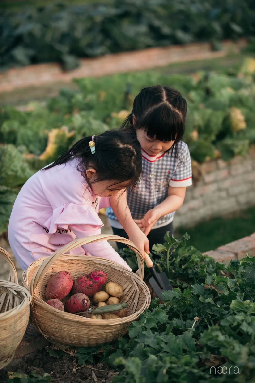西塘游玩推荐的酒店,西塘古镇风景最好的酒店
