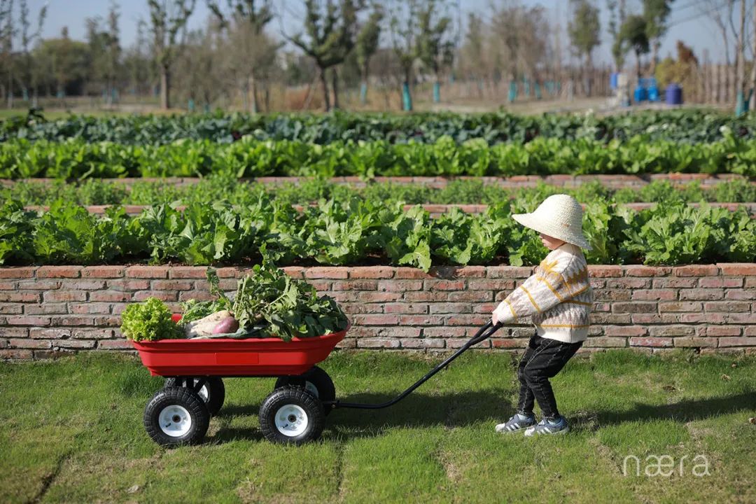 西塘古镇最佳的景观酒店,看西塘最好的酒店