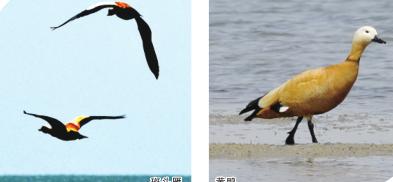 晒出生态“颜值”亮出绿色“气质”