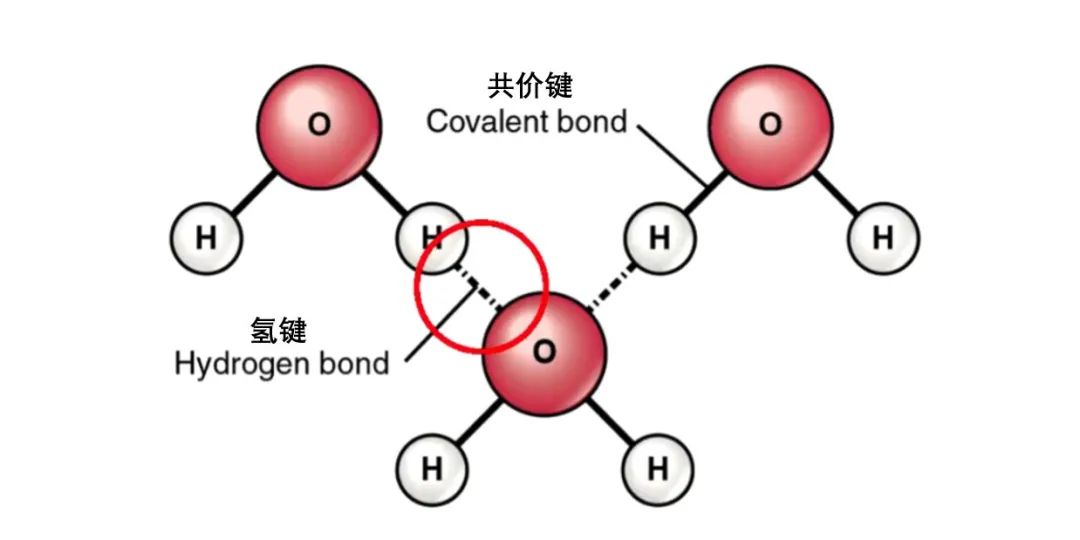 衣服总是皱巴巴的,衣服为啥老是很皱发黄