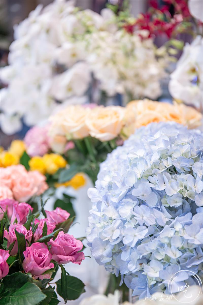 港式茶餐厅水晶虾饺,香港正宗点心虾饺
