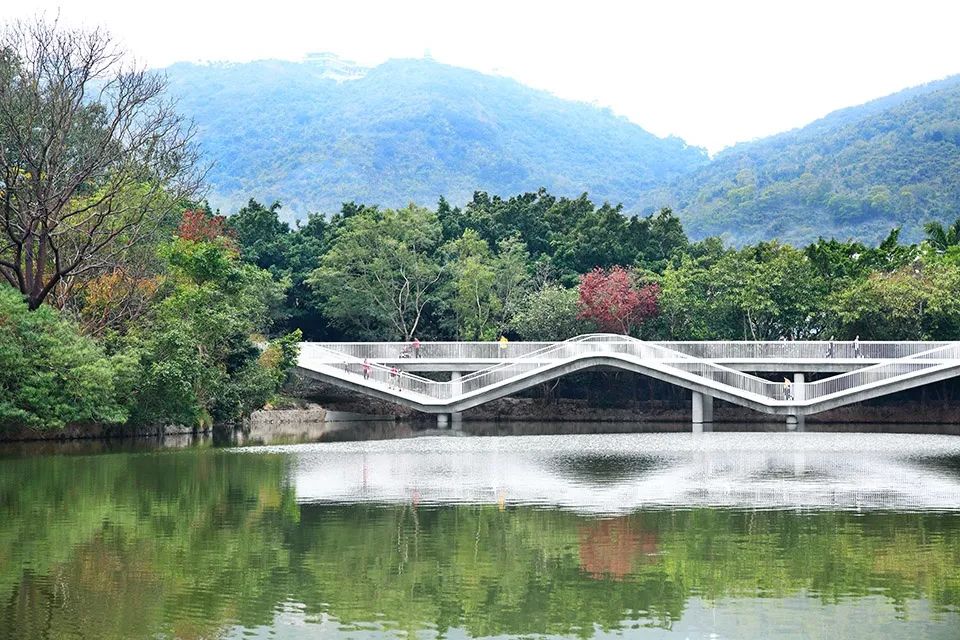深圳室内深化设计师招聘,张健蘅