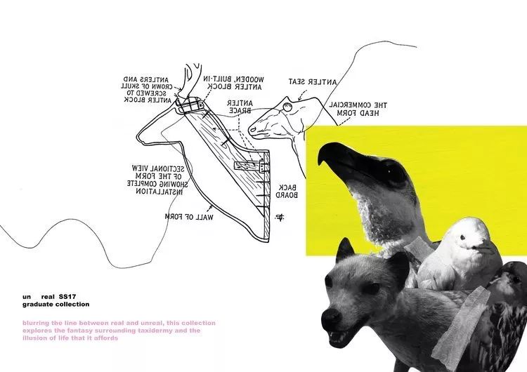 黑科技可拍照,黑科技拍照真实图片