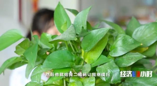 发500返1000?注意了,这种新*局骗**专挑孩子下手