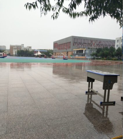 对抗“巴威”，他们竟然“拴”大树、电梯停运、连夜清理铁皮