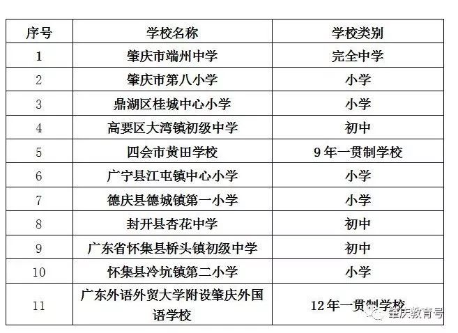 肇庆新区体育中心足球场,广东业余足球标准足球场比赛