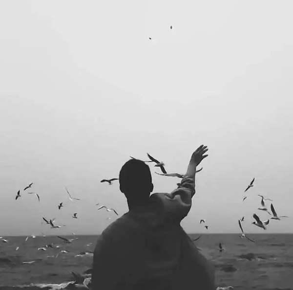 用什么洗发水防止脱发断发,洗头发时加点它防止脱发