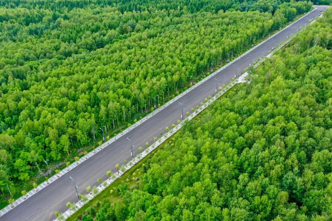 去长白山哪家酒店度假最好,长白山最佳观景酒店