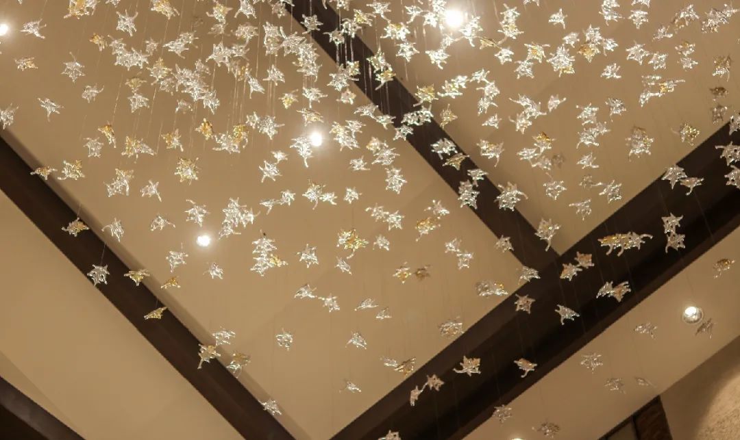 去长白山哪家酒店度假最好,长白山最佳观景酒店