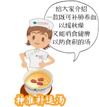 秋季养生药膳常用的十种食材,药膳食疗秋季