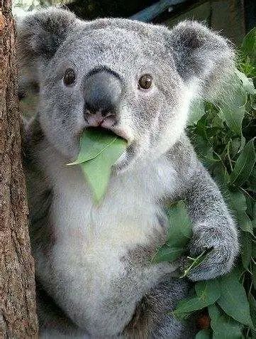 小还是全，一字之差大不同！上海市市场监管局：这种面包少吃！