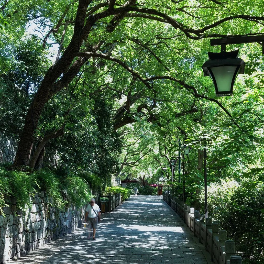 跨越千山万水只为遇见你歌曲,跨越千山万水只为追寻