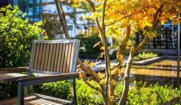 五莲休闲吧,五莲怡然自得