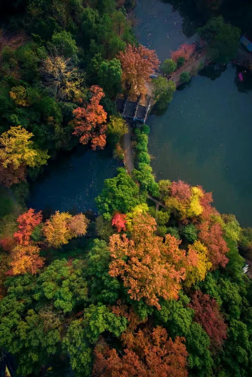 浙江衢州在浙江什么位置,浙江衢州为什么这么重要