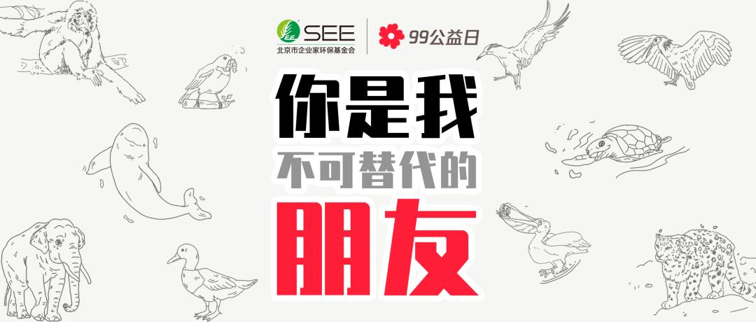 99公益伙伴日,99公益日温暖世界