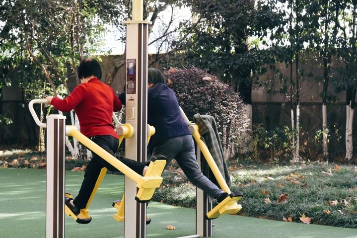 衢州市柯城区府山公园,府山公园最新状况