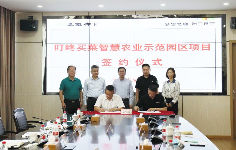 叮咚买菜第一批进军南京,叮咚买菜会成功吗