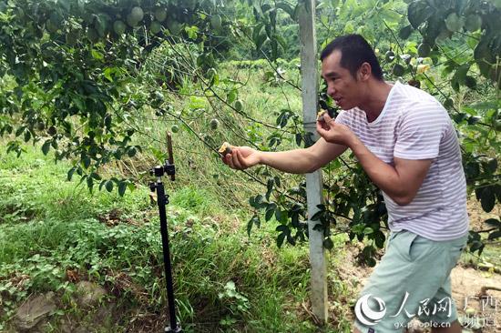 鏌冲窞甯傜綉缁滄壎璐姇绁ㄥ摢瀹跺ソ,鏌冲窞甯傜綉缁滄壎璐摢瀹跺己