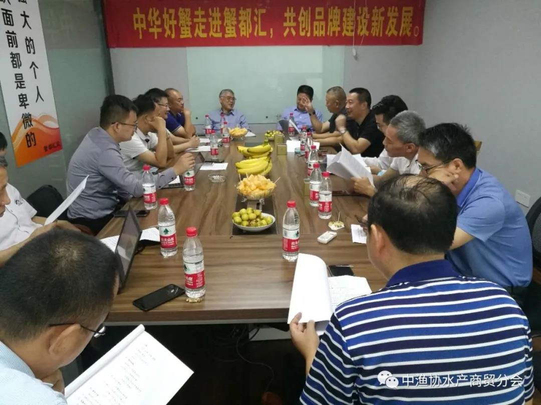 中国大闸蟹领跑者蟹都汇,蟹都汇大闸蟹盛大开业