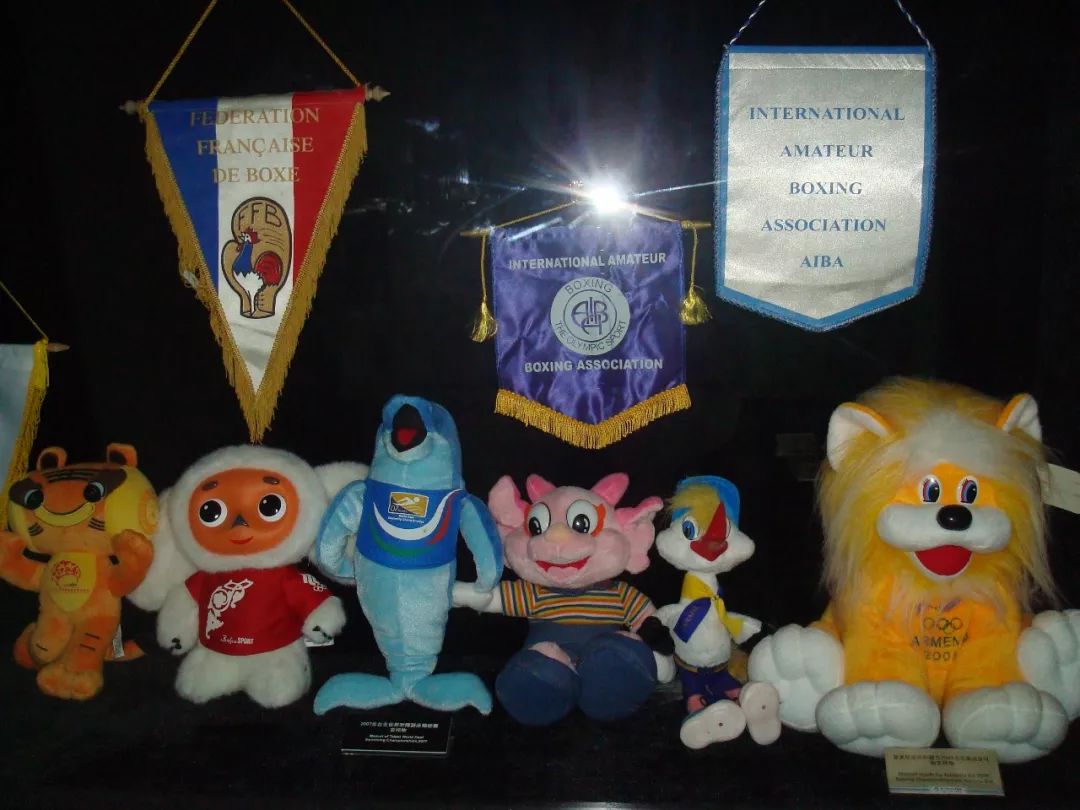 【萌物大放送】志愿者故事云——北京奥运会吉祥物