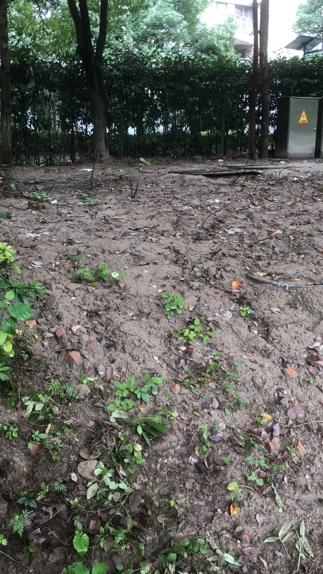 欠收拾图片,宝宝欠收拾