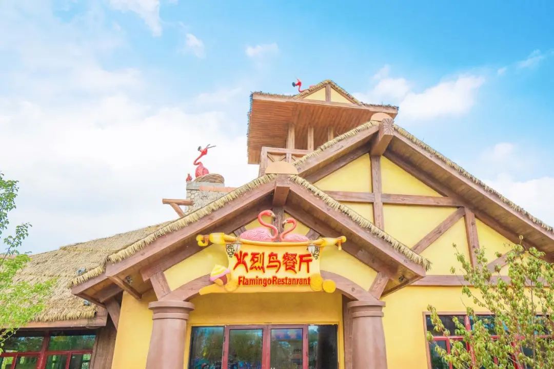 成都都江堰融创乐园有什么好玩的,都江堰融创乐园穿越四川