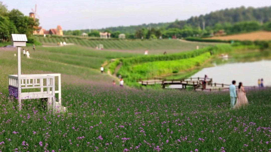 国庆南京江宁一日游,江宁避暑一日游