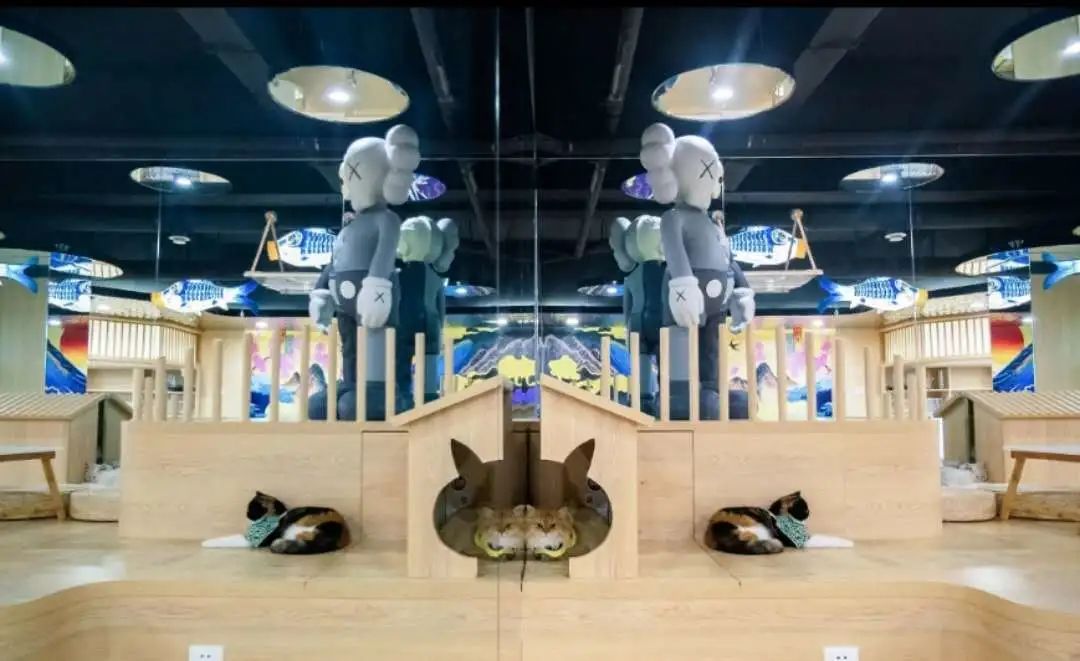 在曲江，你可能不会发胖，但一定会脱单