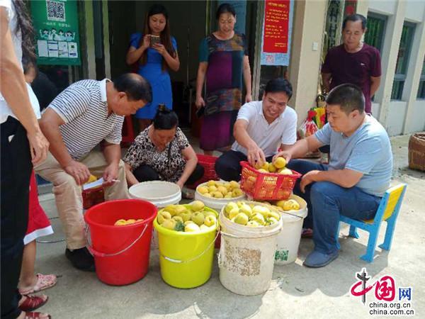 梅岭村梅花,梅溪镇梅岭村