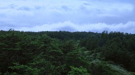 峨眉山有仙峰寺吗,峨眉山有多灵