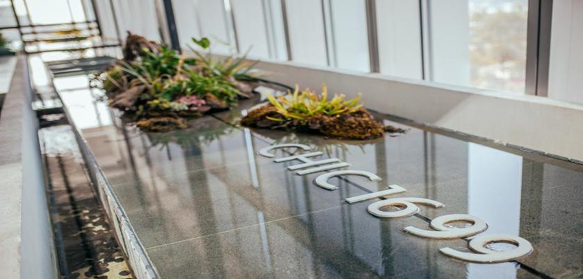 准备好了吗预告抢先看,澳门航空特价机票购买攻略