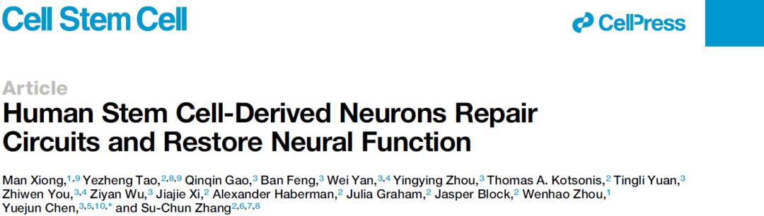 干细胞学术高峰论坛2020,一型糖尿病2020干细胞研究进展