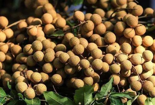 收藏！四川十二月月月hei惊艳