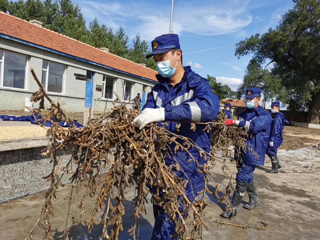 抢险救援有哪些,抗洪救灾他们奋战在一线