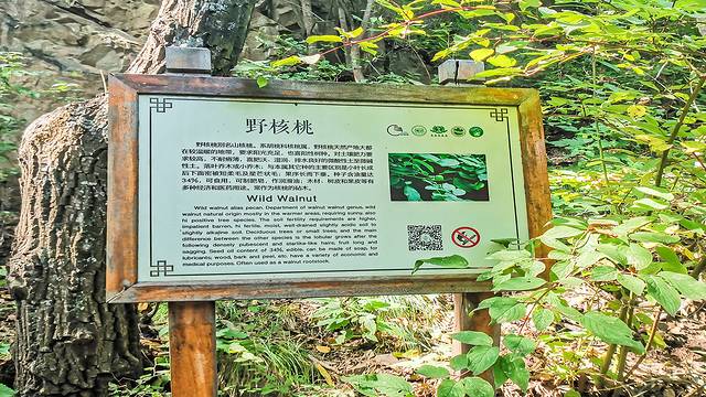 涞水野三坡旅游攻略,涞水白草畔自然风景区野三坡