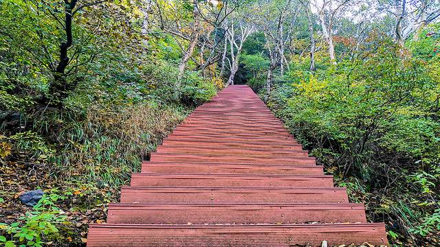 涞水野三坡旅游攻略,涞水白草畔自然风景区野三坡