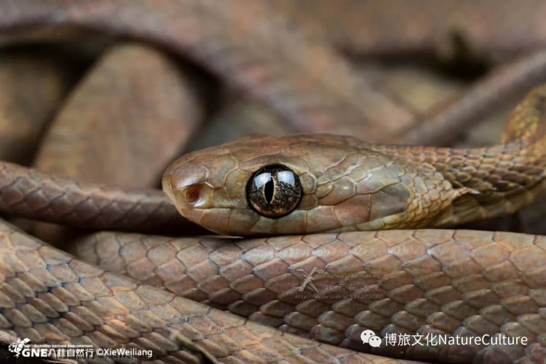 别去挤景点了！生态旅游了解一下