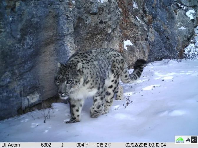 别去挤景点了！生态旅游了解一下