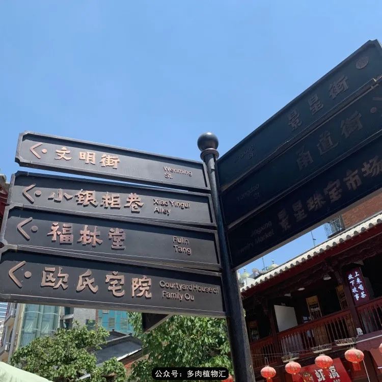 浠庝簯鍗楄繃鏉ュ箍涓滅殑澶氳倝,閬囪澶氳倝鎰熸仼鐢熷懡涓墍鏈夌殑鐩歌瘑