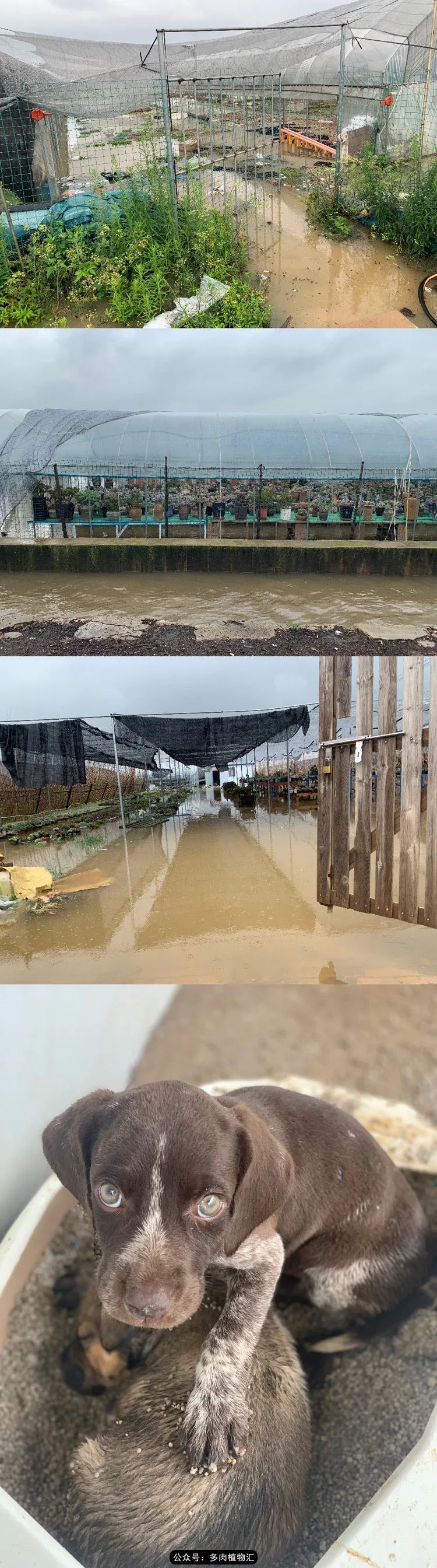 浠庝簯鍗楄繃鏉ュ箍涓滅殑澶氳倝,閬囪澶氳倝鎰熸仼鐢熷懡涓墍鏈夌殑鐩歌瘑