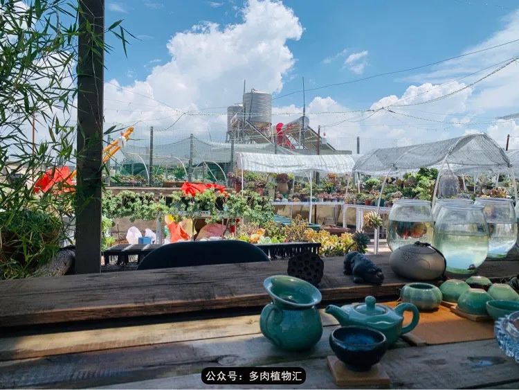 浠庝簯鍗楄繃鏉ュ箍涓滅殑澶氳倝,閬囪澶氳倝鎰熸仼鐢熷懡涓墍鏈夌殑鐩歌瘑