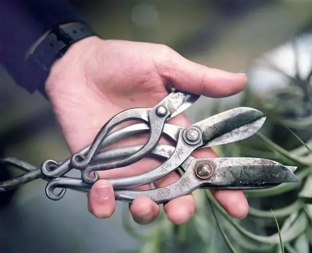 他是日本著名“花花公子”，拈花惹草只为极致的美